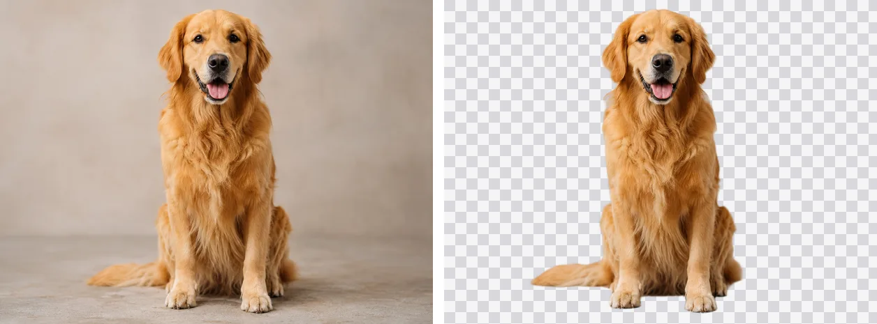 Left: the original studio photo of a dog. Right: the same photo with its background removed, shown on a checkerboard that marks the now-transparent areas.